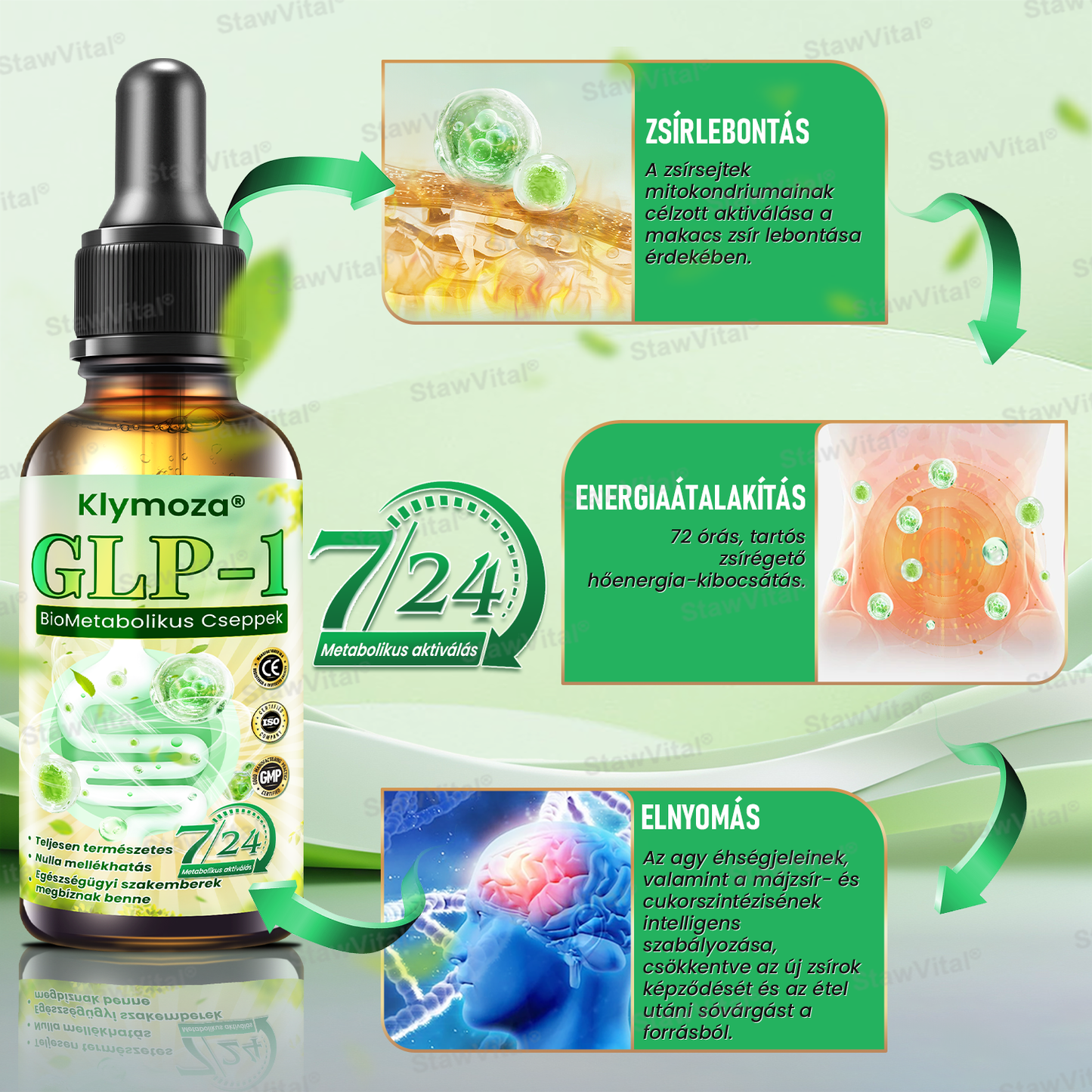 Klymoza® GLP-1 BioMetabolikus Cseppek 🏆 (Élelmiszeripari zsírégető – Az Elhízási Társaság fejlesztette)