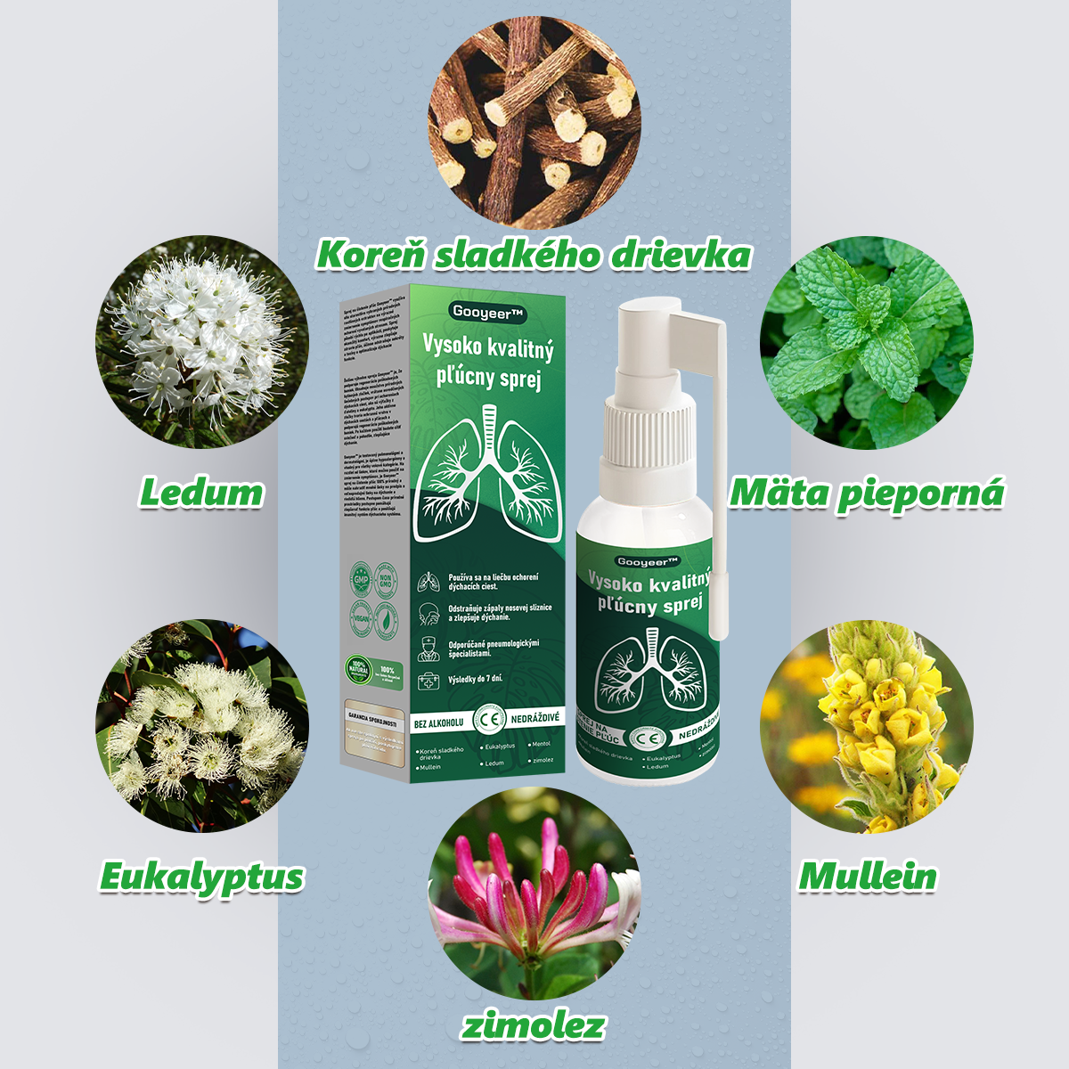 SVK🍀𝐆𝐨𝐨𝐲𝐞𝐞𝐫™ Vysoko kvalitný pľúcny sprej -🧑⚕️ Podporuje zdravie pľúc, priedušiek a dutín, podporuje zdravie dýchacieho systému a ľahšie dýchanie.