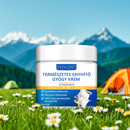 FEIYON™ Természetes Enyhítő Gyógy Krém🛡️ (🌿Innovatív Glükózamin + Növényi Enyhítés🔥Korlátozott időtartam  80% kedvezmény🔥)