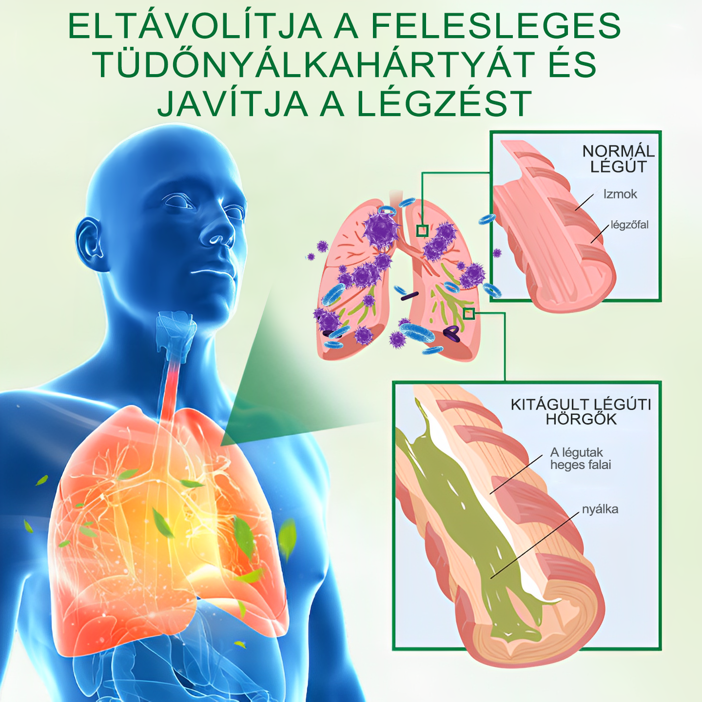 🎉 Gratulálok! Ön lett a mai nap szerencsés vásárlója, ezért most 50% extra kedvezményt biztosítunk Önnek! Ne hagyja ki ezt a lehetőséget – ha ma lemarad, lehet, hogy jövő évig kell várnia.