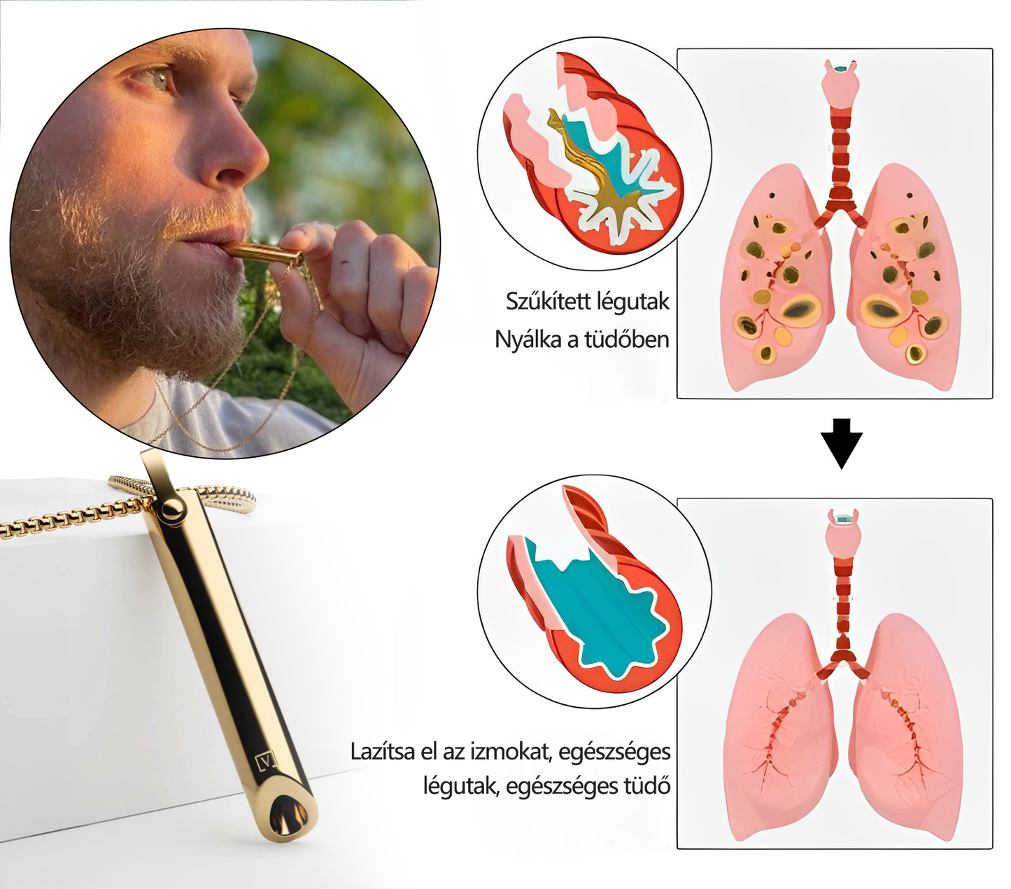 【🔰Hivatalos Márkabolt🌿】Végső Dohányzásról Leszoktató Tüdő Regeneráló Készülék🍃 - Dohányzásról leszoktatás - Tüdő méregtelenítés - Immunitás támogatása - Magyarországon gyártva